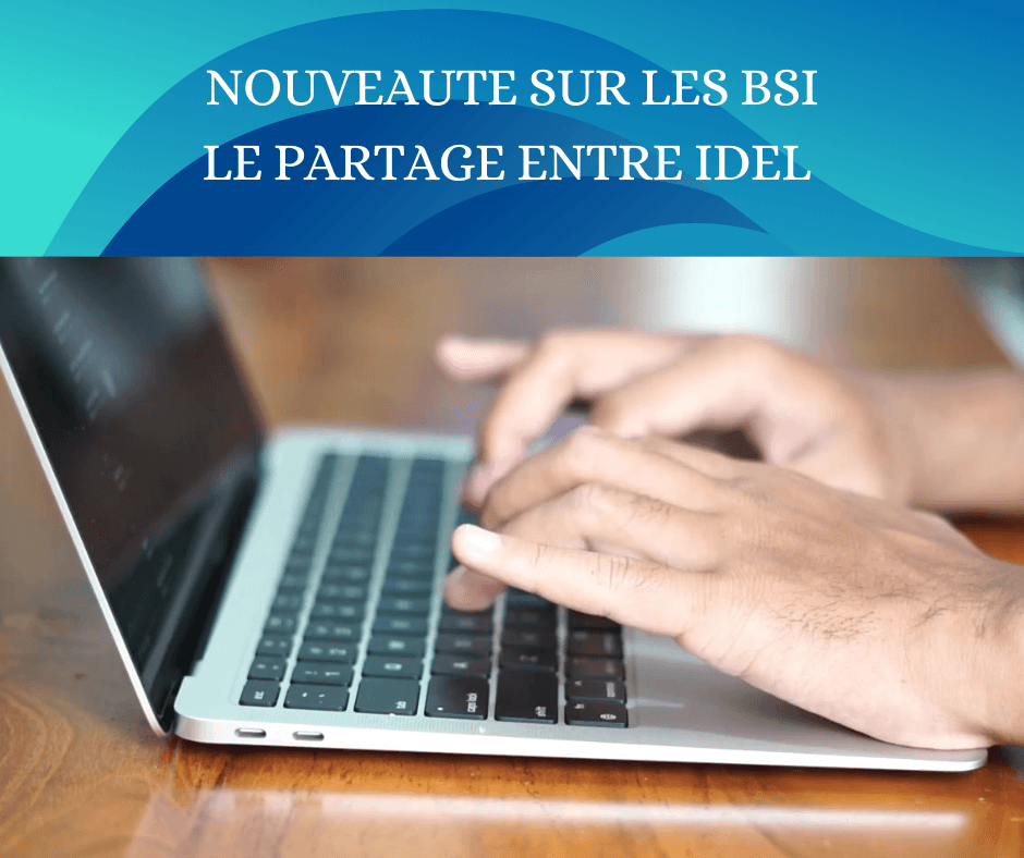 Evolution sur le BSI - La consultation entre IDELS